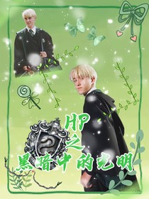 HP之黑暗中的光明