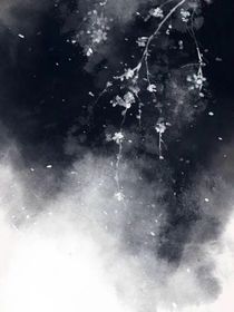 我会永远默默爱你