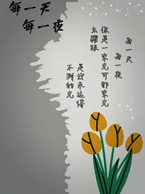 每一天每一夜