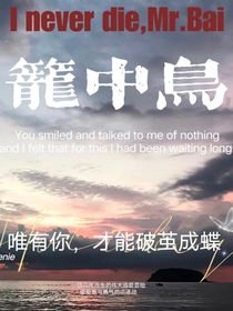 笼中鸟：破茧成蝶