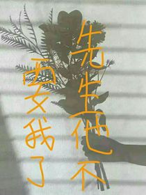 先生他不要我了