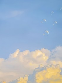櫻花味暗戀