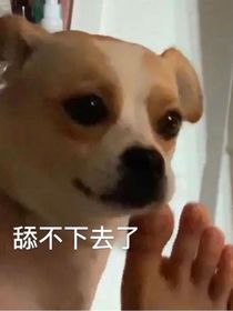 娘娘，愿您得償所愿，事事順心
