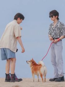 太阳不会落