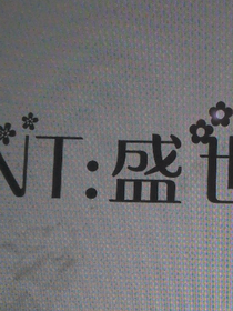 TNT：豪门盛世