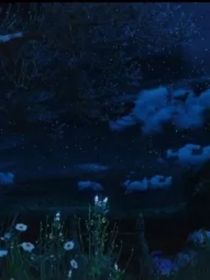 綜影海洋相思