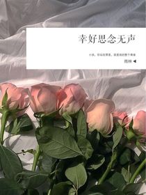 幸好思念无声息