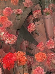 时代少年团中的瓜花日常之撩了就跑