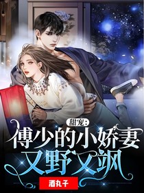 甜宠：傅少的小娇妻又野又飒