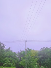 風遇故里