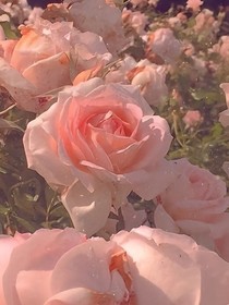 栗子的文案杂货铺