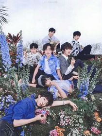 TNT：團綜霧里看花