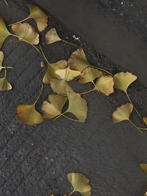醋坛子竟是我家的