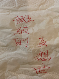 斑驳的妄想曲