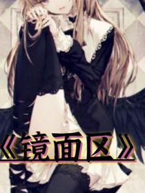 镜面区