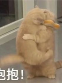王一博与桃花妖