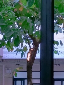 遇见你！真好若童