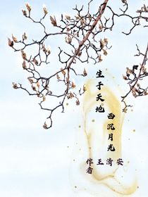 生于天地西沉月光