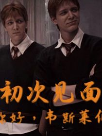 你好，韦斯莱们