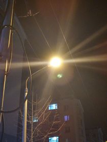 烟雨成花