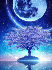 喜美：星空下的誓約