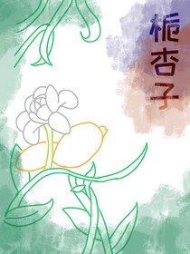 栀杏子