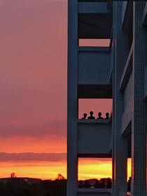重逢無(wú)期
