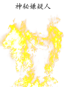 神秘嫌疑人