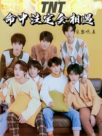 TNT：命中注定會相遇