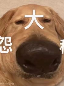 只想睡觉