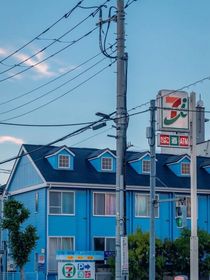 枝枝叶叶
