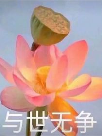 虐文女主走上人生巅峰