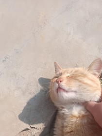 我师傅和师娘日常