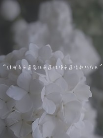 漫漫長(zhǎng)夜……細(xì)聽(tīng)蟬鳴