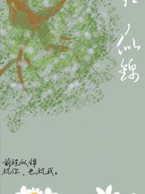 前程，似锦