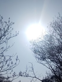 她的冰淇淋