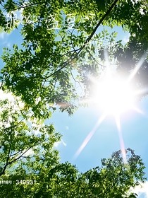 喜歡這個盛夏