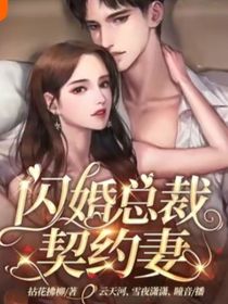 闪婚总裁契婚妻
