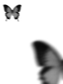 定義未知數(shù)