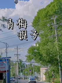 青梅提子