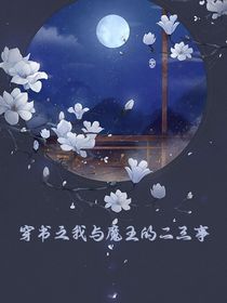 穿書之我與魔王的二三事