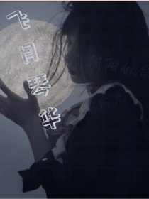 飞月华琴