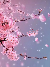 浩明的成長(zhǎng)