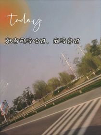 就當(dāng)我沒來過吧