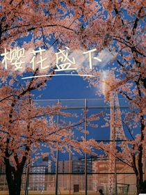 樱花盛下