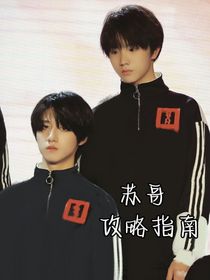 苏哥攻略指南