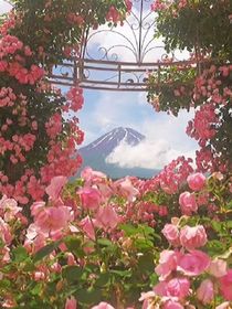 逢火