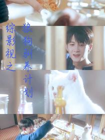 综影视之狼狗驯养计划