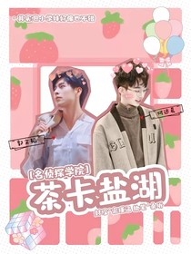 名偵：茶卡鹽湖