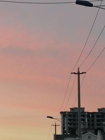 霸道帆总俏伽人